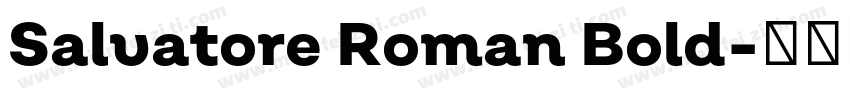 Salvatore Roman Bold字体转换
